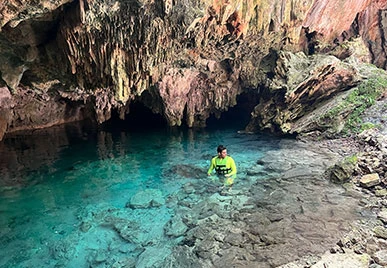 Nadar en cenote Nido de Halcón