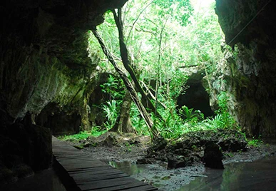 Tour Zak Aktun Dos Cenotes y Caverna en el Río Subterráneo Más Grande del Mundo 