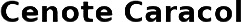 LOGO CENOTE CARACOL